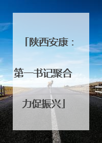 陕西安康：第一书记聚合力促振兴