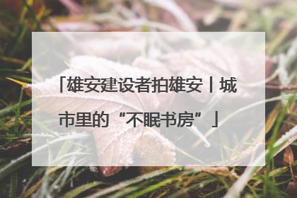 雄安建设者拍雄安丨城市里的“不眠书房”