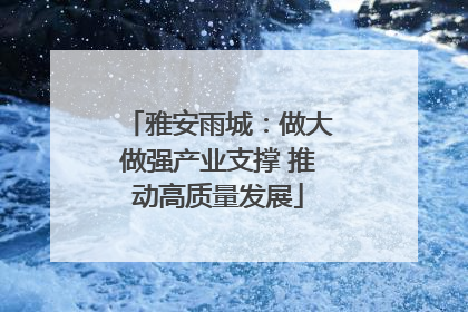 雅安雨城：做大做强产业支撑 推动高质量发展