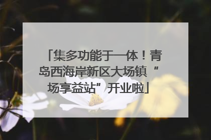 集多功能于一体！青岛西海岸新区大场镇“场享益站”开业啦