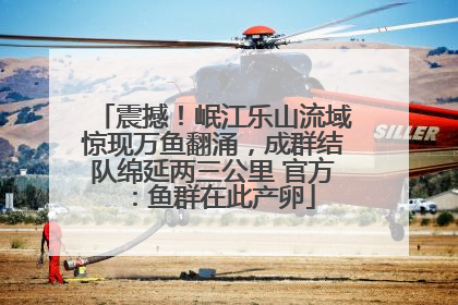 震撼！岷江乐山流域惊现万鱼翻涌，成群结队绵延两三公里 官方：鱼群在此产卵