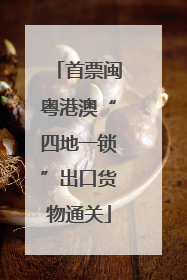 首票闽粤港澳“四地一锁”出口货物通关