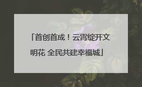 首创首成！云霄绽开文明花 全民共建幸福城