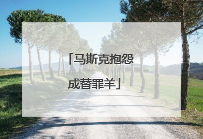 马斯克抱怨成替罪羊