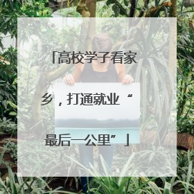 高校学子看家乡，打通就业“最后一公里”