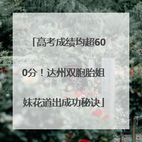 高考成绩均超600分！达州双胞胎姐妹花道出成功秘诀