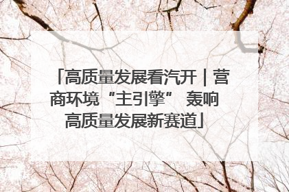 高质量发展看汽开｜营商环境“主引擎” 轰响高质量发展新赛道