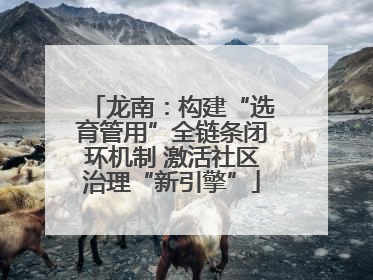 龙南：构建“选育管用”全链条闭环机制 激活社区治理“新引擎”