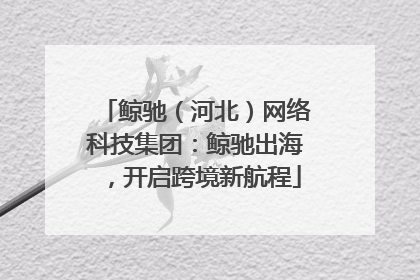 鲸驰（河北）网络科技集团：鲸驰出海，开启跨境新航程