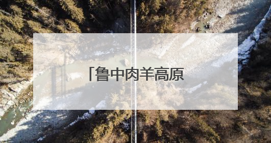 鲁中肉羊高原“零伤亡”背后的山东智慧