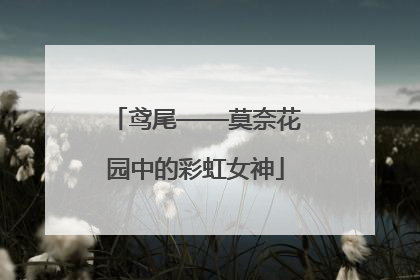 鸢尾——莫奈花园中的彩虹女神