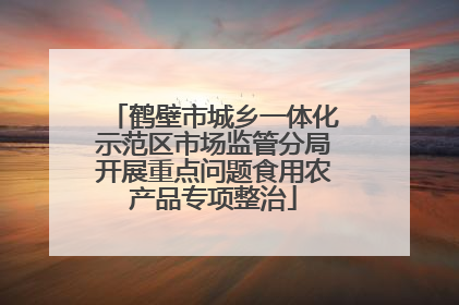 鹤壁市城乡一体化示范区市场监管分局开展重点问题食用农产品专项整治