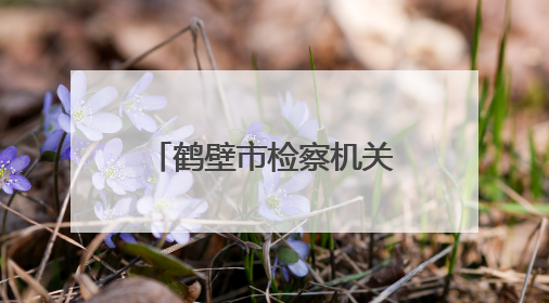 鹤壁市检察机关举办“‘典’亮生活 守护美好”检察开放日活动