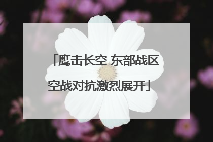 鹰击长空 东部战区空战对抗激烈展开