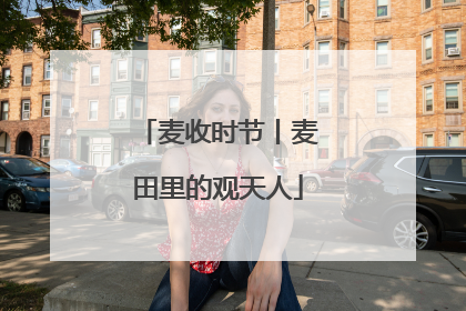 麦收时节丨麦田里的观天人