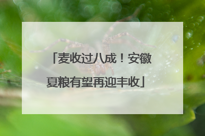 麦收过八成！安徽夏粮有望再迎丰收
