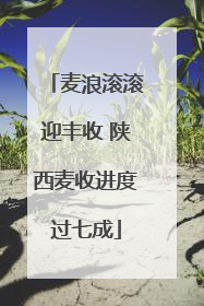 麦浪滚滚迎丰收 陕西麦收进度过七成
