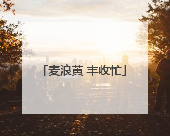 麦浪黄 丰收忙