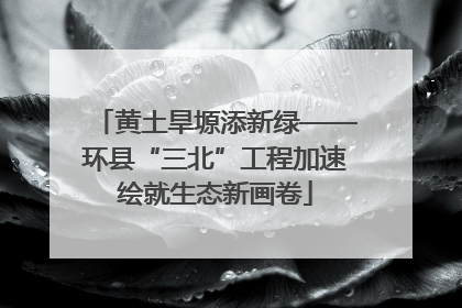 黄土旱塬添新绿——环县“三北”工程加速绘就生态新画卷