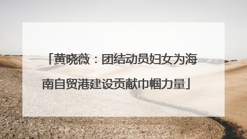 黄晓薇：团结动员妇女为海南自贸港建设贡献巾帼力量