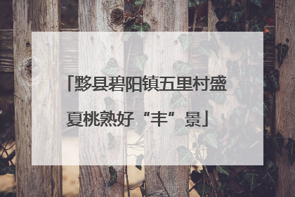 黟县碧阳镇五里村盛夏桃熟好“丰”景