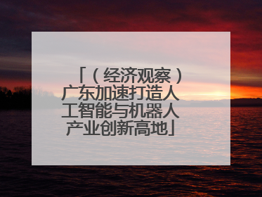 （经济观察）广东加速打造人工智能与机器人产业创新高地