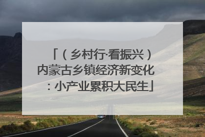 （乡村行·看振兴）内蒙古乡镇经济新变化：小产业累积大民生