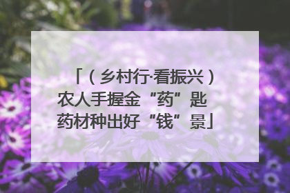 （乡村行·看振兴）农人手握金“药”匙 药材种出好“钱”景