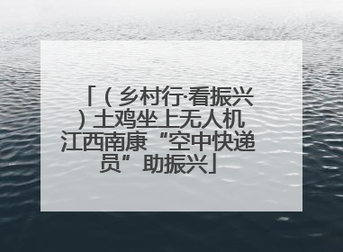 （乡村行·看振兴）土鸡坐上无人机 江西南康“空中快递员”助振兴