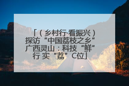 （乡村行·看振兴）探访“中国荔枝之乡”广西灵山：科技“鲜”行 实“荔”C位