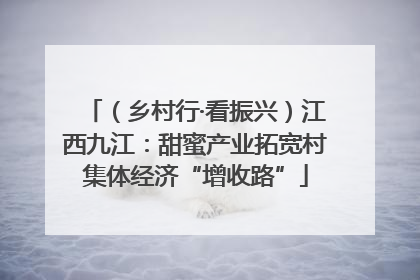 （乡村行·看振兴）江西九江：甜蜜产业拓宽村集体经济“增收路”