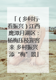 （乡村行·看振兴）江西鹰潭月湖区：杨梅压枝迎客来 乡村振兴添“梅”景