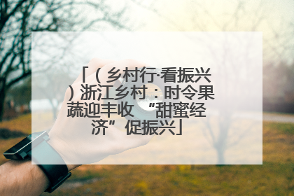 （乡村行·看振兴）浙江乡村：时令果蔬迎丰收 “甜蜜经济”促振兴