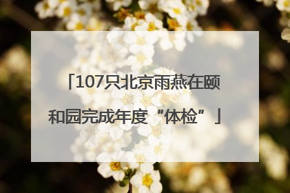 107只北京雨燕在颐和园完成年度“体检”