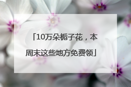 10万朵栀子花，本周末这些地方免费领