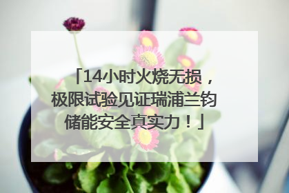 14小时火烧无损，极限试验见证瑞浦兰钧储能安全真实力！