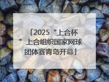 2025“上合杯”上合组织国家网球团体赛青岛开幕