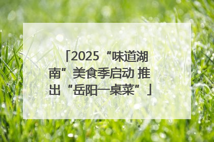 2025“味道湖南”美食季启动 推出“岳阳一桌菜”