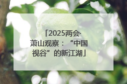 2025两会·萧山观察：“中国视谷”的新江湖