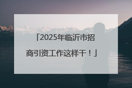 2025年临沂市招商引资工作这样干！