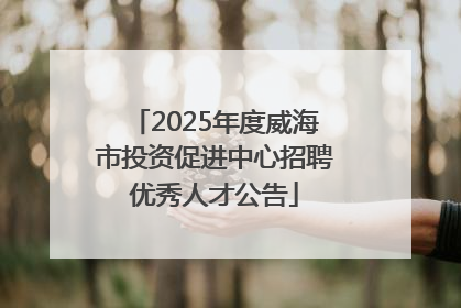 2025年度威海市投资促进中心招聘优秀人才公告