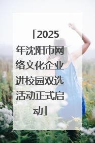 2025年沈阳市网络文化企业进校园双选活动正式启动