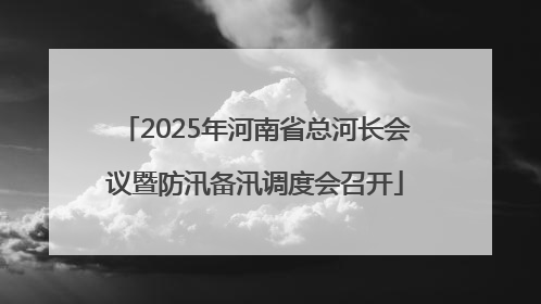 2025年河南省总河长会议暨防汛备汛调度会召开