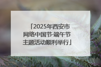 2025年西安市网络中国节·端午节主题活动顺利举行