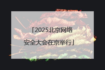 2025北京网络安全大会在京举行