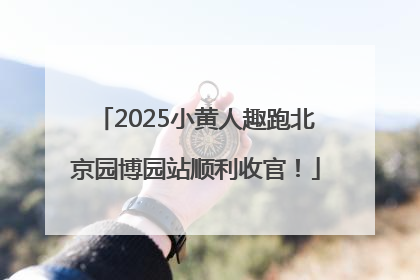 2025小黄人趣跑北京园博园站顺利收官！