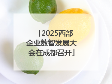 2025西部企业数智发展大会在成都召开