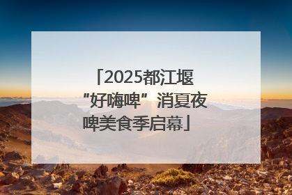 2025都江堰“好嗨啤”消夏夜啤美食季启幕