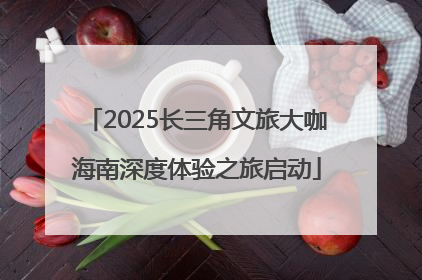 2025长三角文旅大咖海南深度体验之旅启动