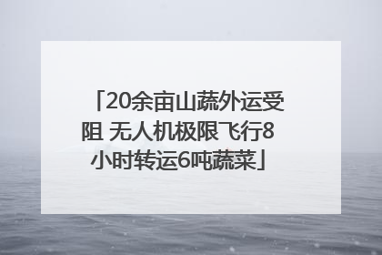 20余亩山蔬外运受阻 无人机极限飞行8小时转运6吨蔬菜